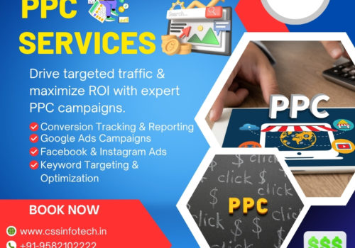 Boost Your Business Growth with Professional PPC Services in India