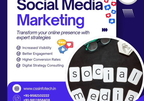 Boost Your Business with the Best Social Media Marketing Company in India