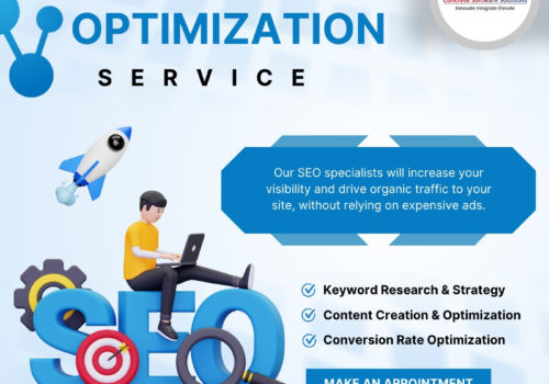 Grow Your Business Organically with the Best SEO Company in India